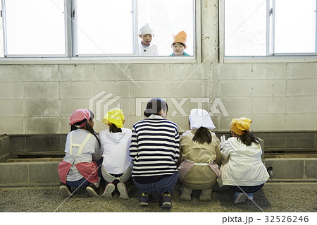 林間学校 料理する小学生 林間学校 料理する小学生 32526246