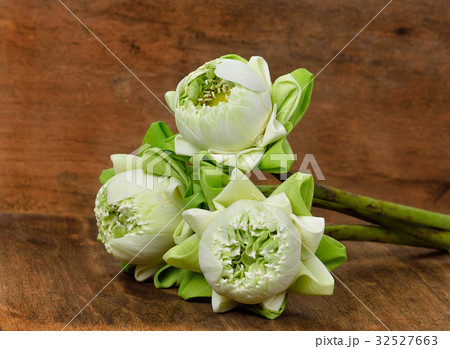 Lotus on the wooden floor 32527663