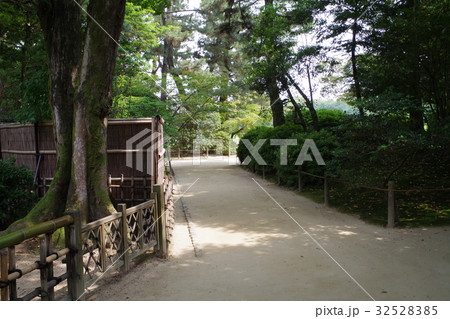後楽園の小道 32528385
