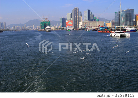 kowloon bay with Typhoon Shelter kowloon bay with Typhoon Shelter 32529115