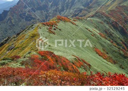 谷川連峰　武能岳からの紅葉の笹平 32529245