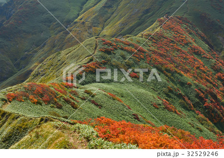 谷川連峰 武能岳からの紅葉の笹平 谷川連峰 武能岳からの紅葉の笹平 32529246