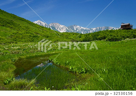 八方尾根の麓にある湿原から望む山々 八方尾根の麓にある湿原から望む山々 32530156