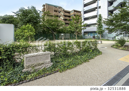 臨川四季の森 32531886