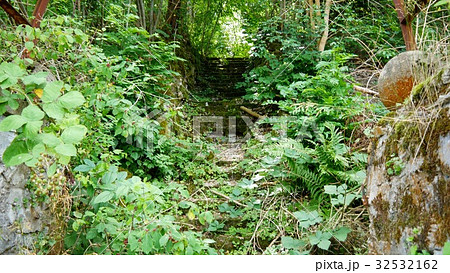 An overgrown concrete staircase An overgrown concrete staircase 32532162