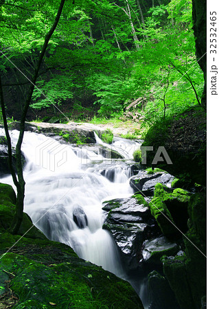 江竜田の滝（えりゅうだのたき） 32532465