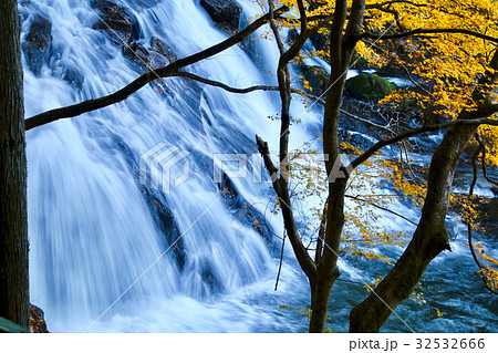 秋の江竜田の滝（えりゅうだのたき） 32532666