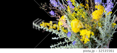 bouquet of fresh wildflowers on black background bouquet of fresh wildflowers on black background 32535561