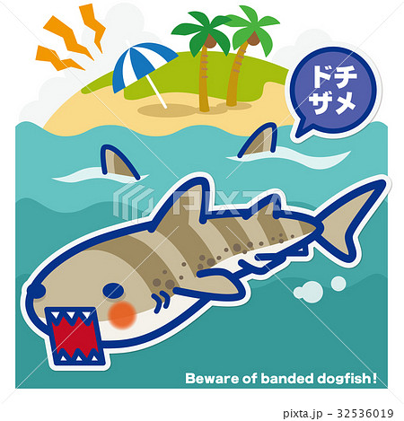 サメのいる海 ドチザメ(青罫) サメのいる海 ドチザメ(青罫) 32536019