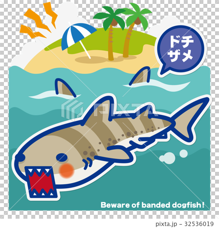 サメのいる海 ドチザメ(青罫) サメのいる海 ドチザメ(青罫) 32536019