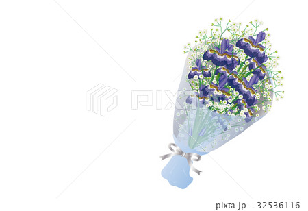 花束菖蒲のイラスト素材
