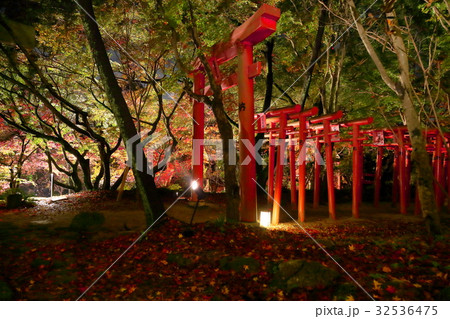 九州　福岡県　おすすめ　人気　観光地　太宰府市　宝満宮　竈門神社　夜景　紅葉 32536475
