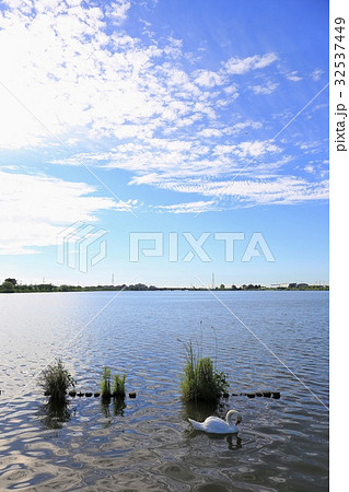 千葉 香取 水郷佐原あやめパーク 千葉 香取 水郷佐原あやめパーク 32537449