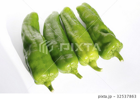 ねごろ大唐　特大ししとう 32537863