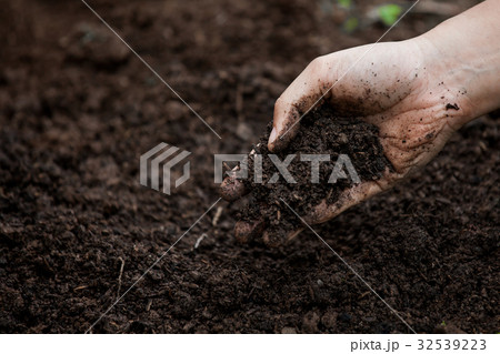 Soil in hand for planting 32539223