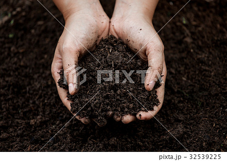 Soil in hand for planting 32539225