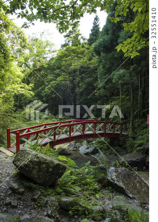 林 森 樹林 32551410