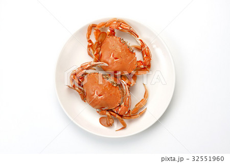 ヒラツメガ二 32551960