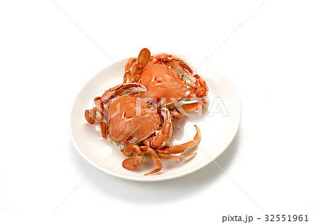 ヒラツメガ二 32551961