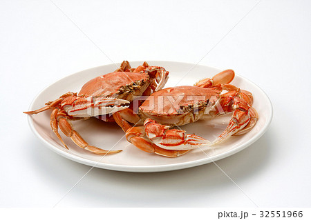 ヒラツメガ二 32551966