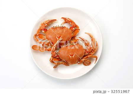 ヒラツメガ二 32551967