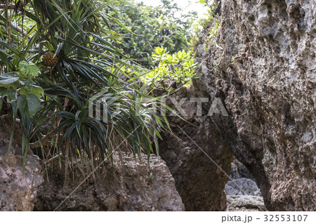 浜比嘉島 兼久ビーチ 32553107