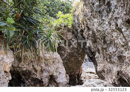 浜比嘉島 兼久ビーチ 浜比嘉島 兼久ビーチ 32553123