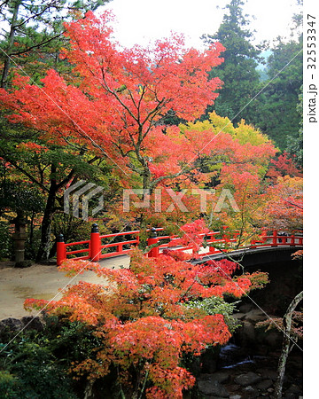 紅葉谷公園 紅葉谷公園 32553347