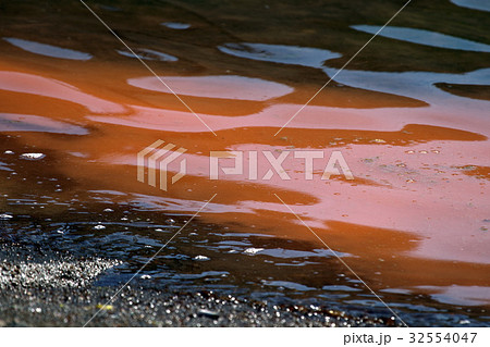 あかしお・赤潮 32554047