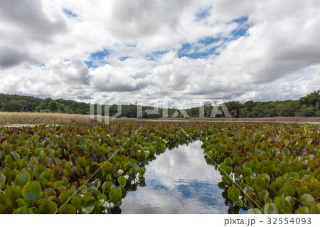チャパダ・ディアマンティーナ国立公園でのボートトリップ チャパダ・ディアマンティーナ国立公園でのボートトリップ 32554093