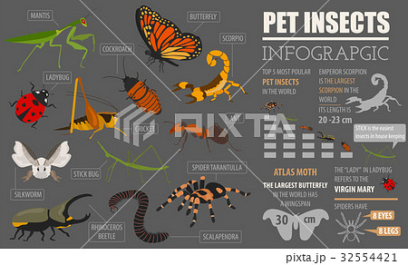 Pet insects breeds icon set flat style isolated Pet insects breeds icon set flat style isolated 32554421
