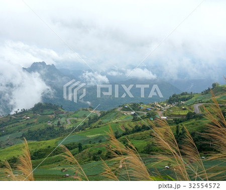 Morning mountain landscape with waves of fog  32554572