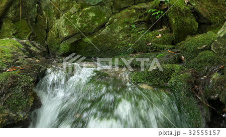 渓流 円原川(伏流水) 渓流 円原川(伏流水) 32555157