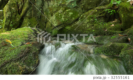 渓流　円原川（伏流水） 32555161