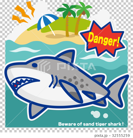 サメのいる海 シロワニ(青罫) サメのいる海 シロワニ(青罫) 32555259