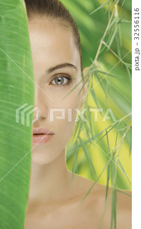 behind leaf 32556116