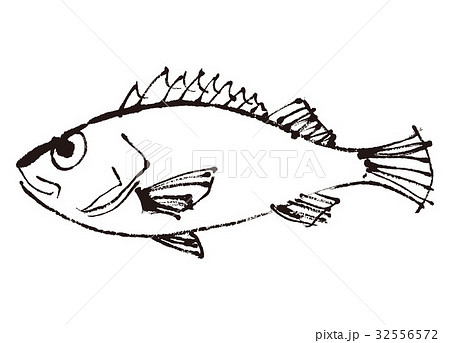 吉次　きちじ　水彩画　水墨画 32556572