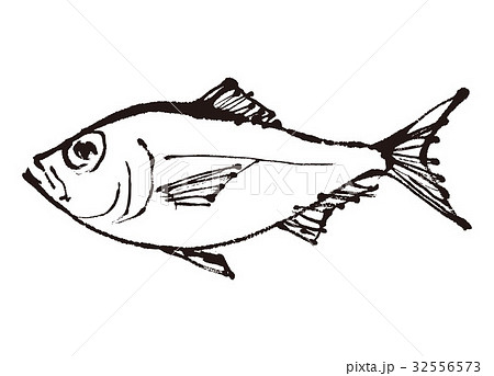 金目鯛　きんめだい　水彩画　水墨画 32556573