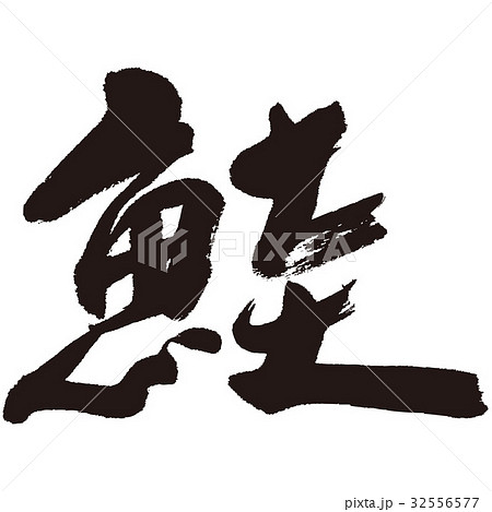 鮭 さけ 筆文字 鮭 さけ 筆文字 32556577