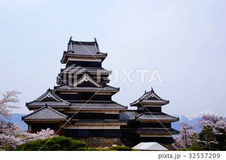 松本城 （烏城） 天守閣　内苑側 （ 長野県 松本市 丸の内 ） 32557209