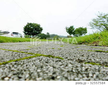 地面すれすれから歩道を撮る 地面すれすれから歩道を撮る 32557584