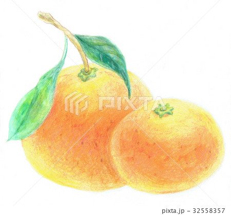 みかん 32558357