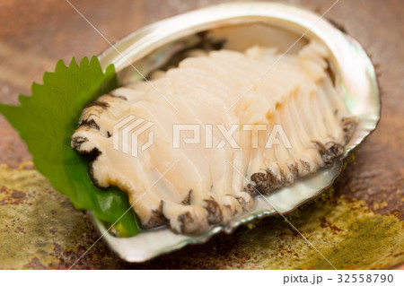 アワビ　刺身 32558790