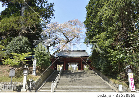 鹽竈神社 32558969