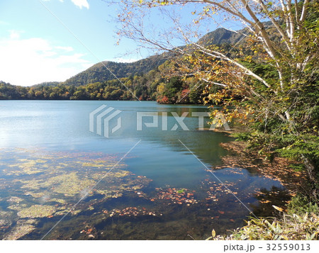 秋の湯ノ湖 32559013
