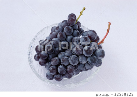 葡萄 スチューベン 葡萄 スチューベン 32559225