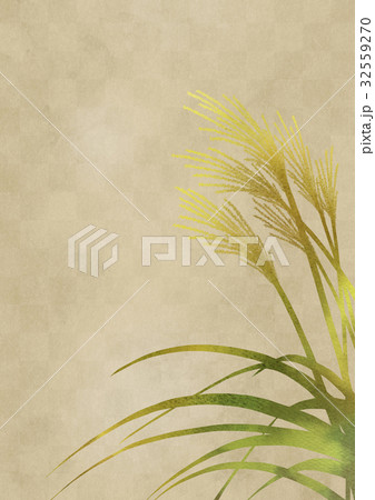 ススキ（白金屏風たて） 32559270