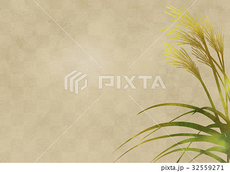 ススキ（白金屏風よこ） 32559271