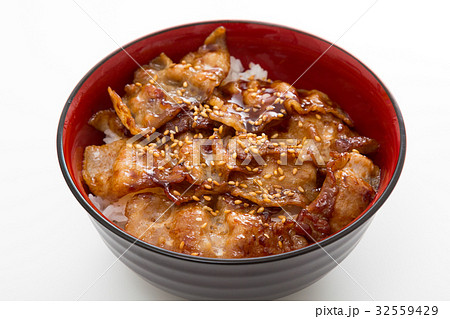 豚丼 32559429