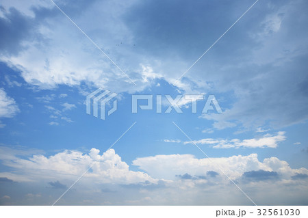空 空 32561030